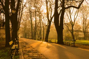 [7.04.2026] Pogoda w Małopolsce we wtorek. Chłodny poranek, słońce i silny wiatr