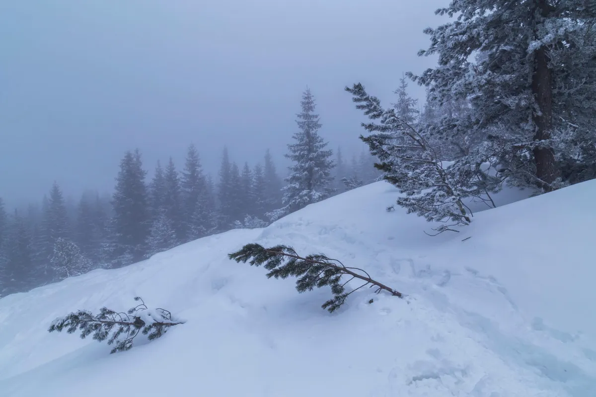 [1.04.2026] Jaka pogoda we wtorek? Są miejsca, gdzie mocno popada i będzie bardziej zimno niż gdzie indziej