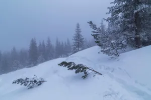 [1.04.2026] Jaka pogoda we wtorek? Są miejsca, gdzie mocno popada i będzie bardziej zimno niż gdzie indziej