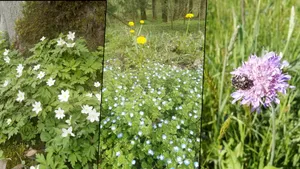 Ekologia bez ekonomii? Gminie Wieliczka grożą milionowe odszkodowania
