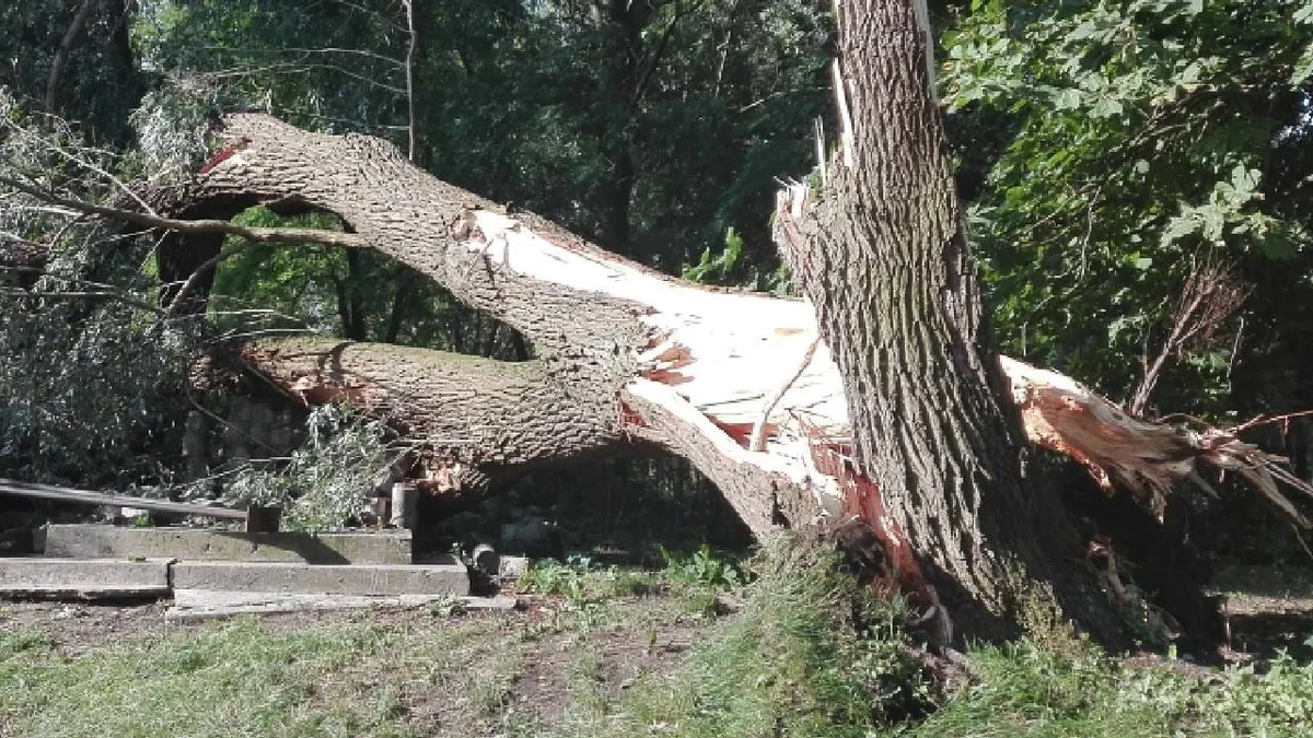 Silny wiatr uderzył w Polskę. Ponad 1,5 tys. interwencji, Małopolska też z problemami