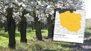 Tragiczne wieści dla rolników. Mróz uderzy w Małopolskę. Przy gruncie nawet -8 stopni