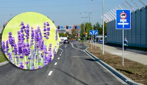 To będzie pachnący hit w Krakowie. Ten zakątek zmieni się nie do poznania