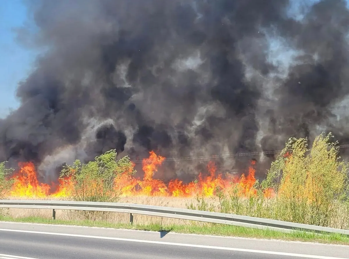 Pożar pod Proszowicami