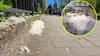 Kraków spowity w białym puchu. Alergicy powinni mieć się na baczności [Zdjęcia]