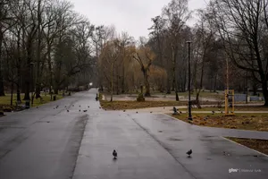 Chłód i deszcz w Małopolsce. Prognoza pogody na 12 maja