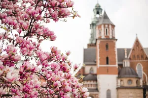 [4.05.2026] Prognoza pogody na poniedziałek. To będzie najcieplejszy dzień od początku roku