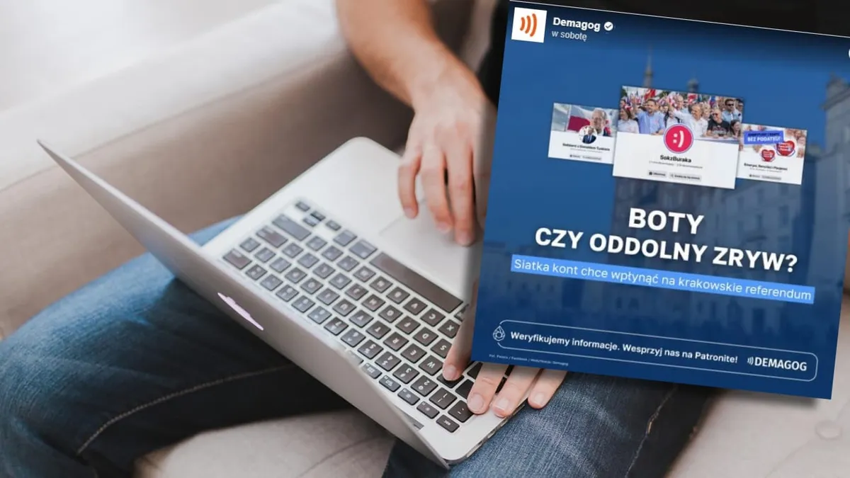 Kulisy kampanii przed referendum. Demagog opisuje siatkę kont
