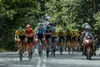 83. Tour de Pologne UCI WorldTour – prezentacja trasy już 26 maja!