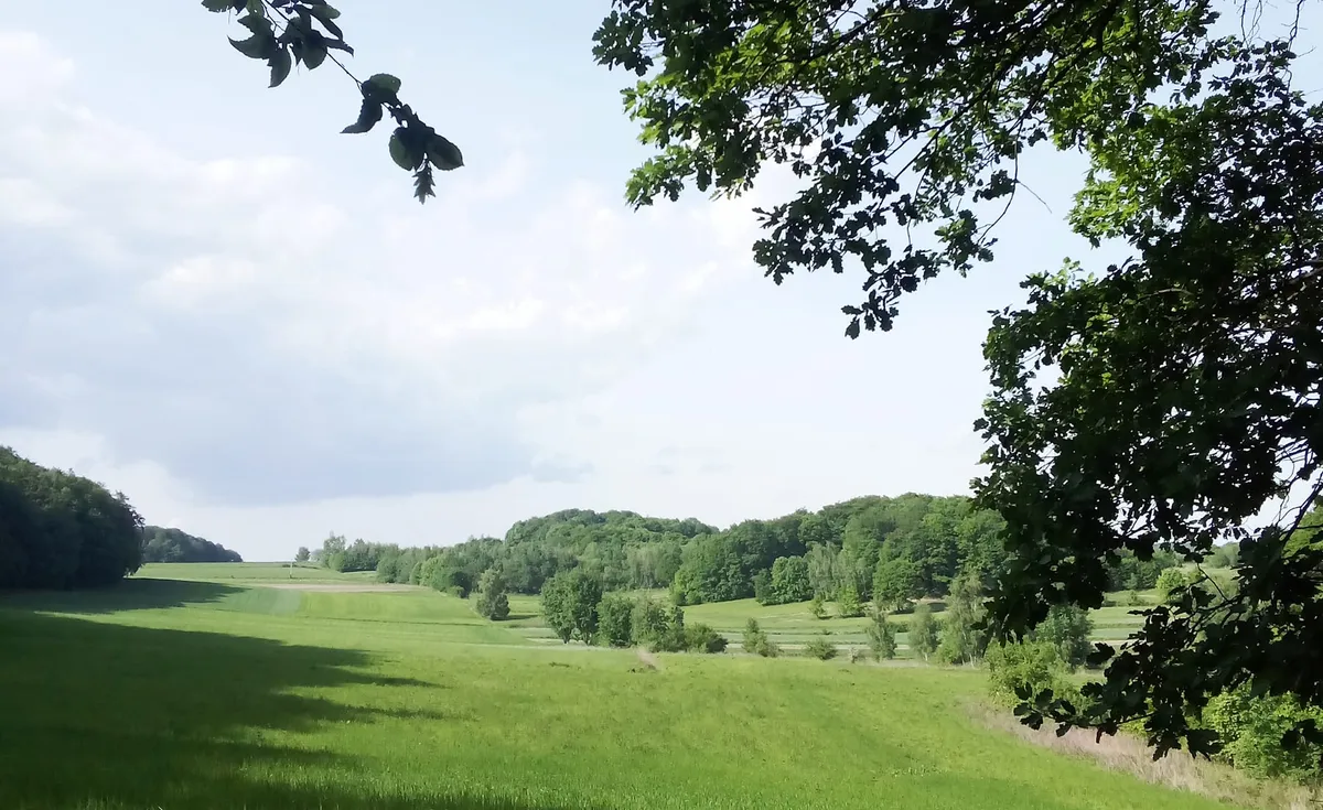 Pogoda w Małopolsce na 23 czerwca. Dużo słońca i letnie temperatury