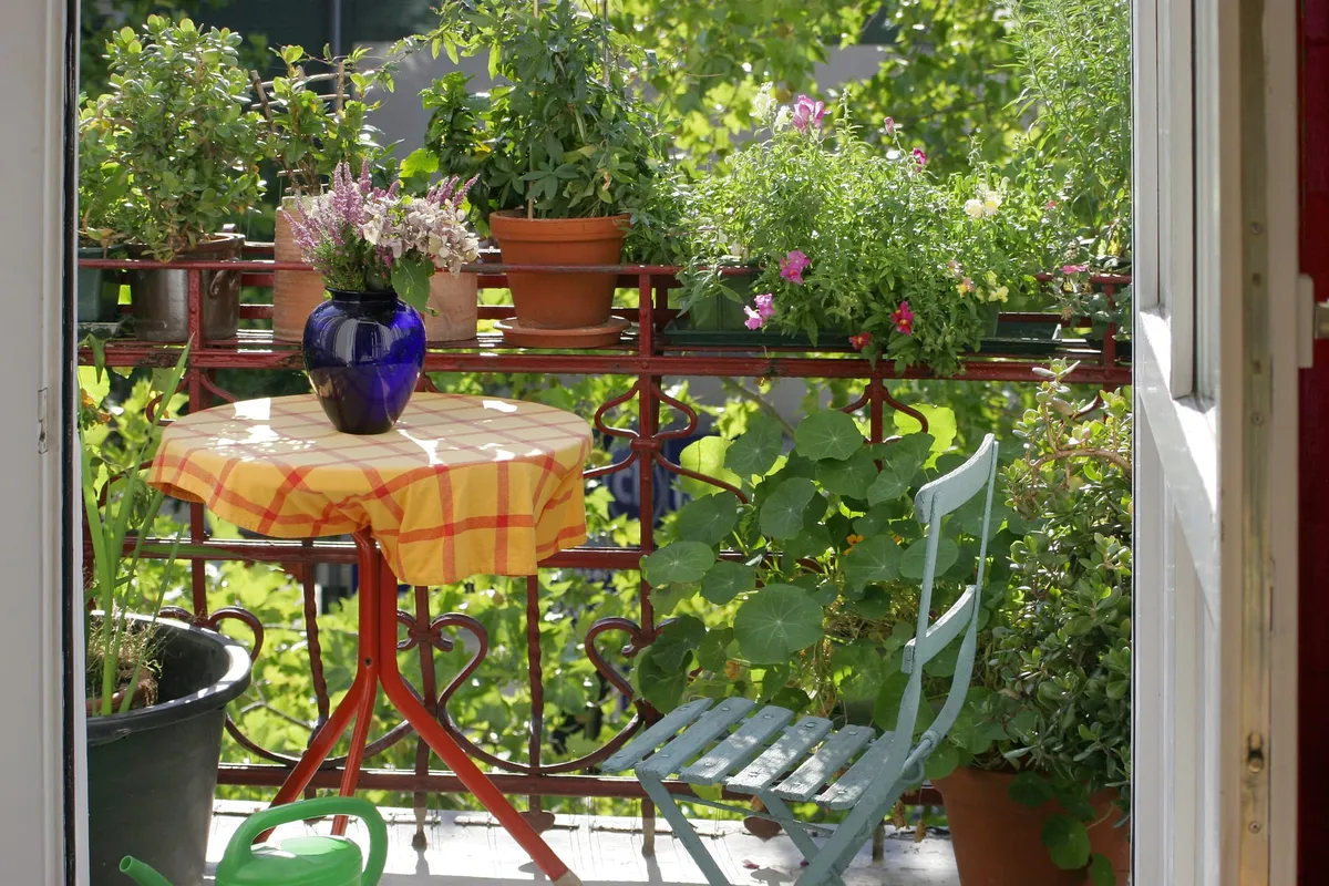 Słoneczny balkon pełen roślin doniczkowych i kwiatów, z małym stolikiem w żółtą kratę, niebieskim wazonem oraz jasnoniebieskim krzesłem ustawionym wśród zieleni.