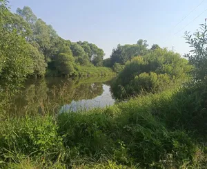 Woda zbiera tragiczne żniwo w Małopolsce. W Sole odkryto ciało