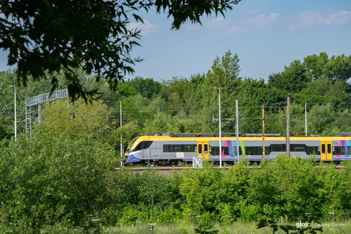 Pociąg 