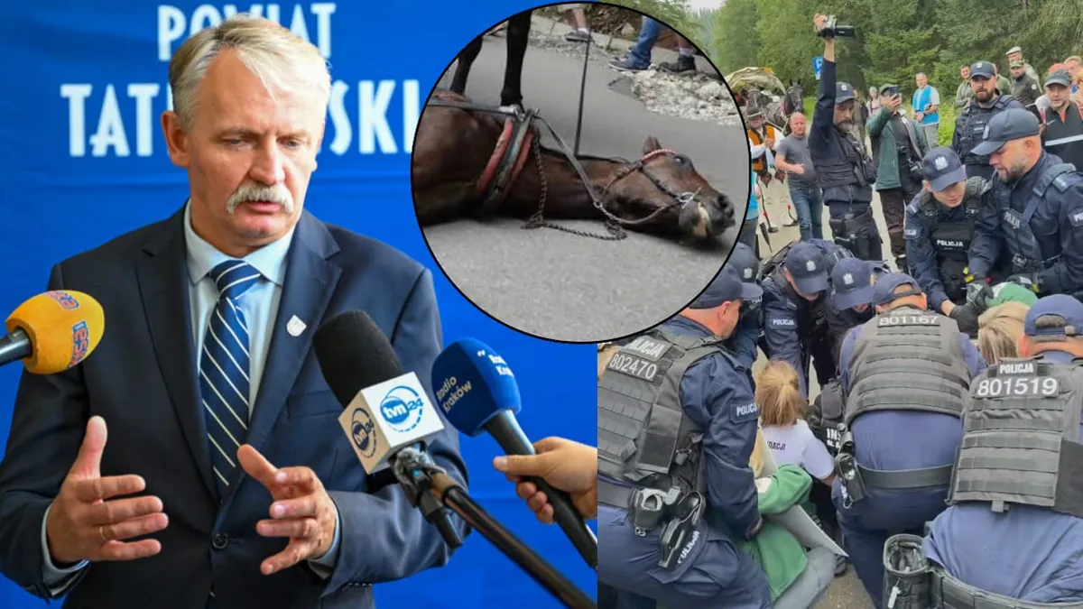 Konflikt o konie w Zakopanem