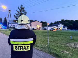 Dramat w Małopolsce. Pies dotkliwie pogryzł 3-letnie dziecko