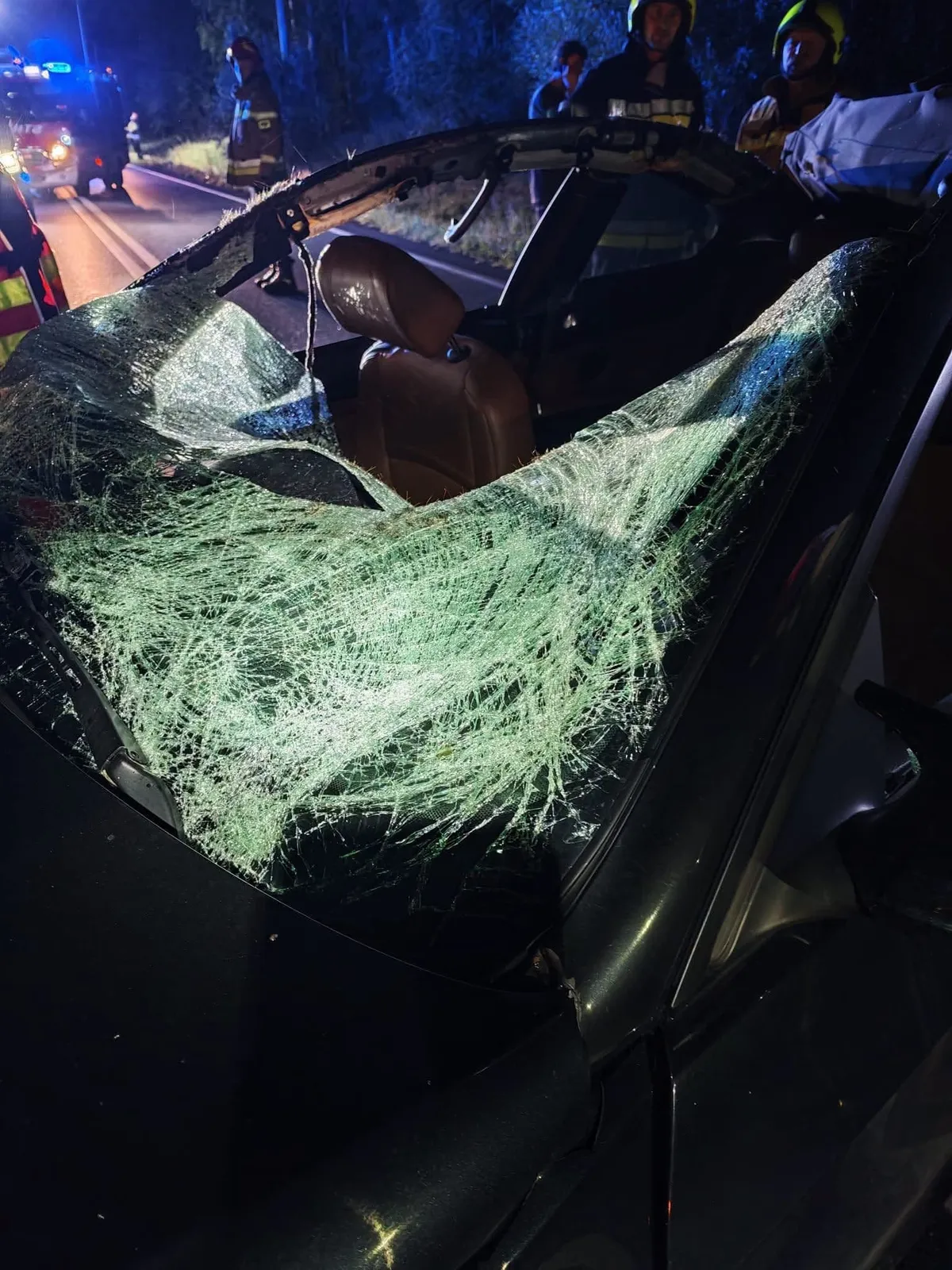 Na zdjęciu rozbite auto, Skutki zderzenia auta z łosiem w Lisiej Górze