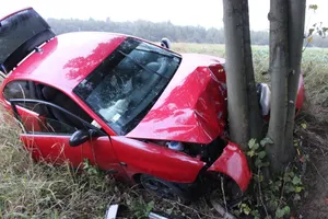 Samochód roztrzaskał się o drzewo w Małopolsce. Szokujące ustalenia policji