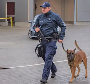 Na tego czworonoga zawsze można liczyć. Uratował życie seniora z Małopolski