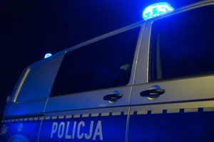 Toyota uderzyła w drzewo. 56-latka nie udało się uratować