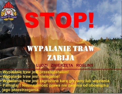W Myślenicach znów palą trawy i żywe stworzenia
