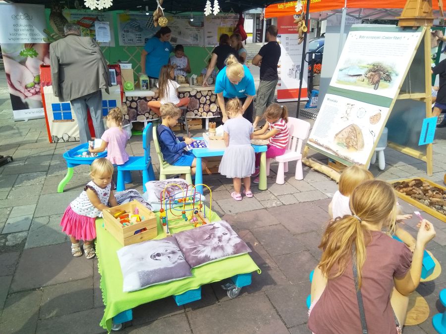 Brzesko: piknik ekologiczny