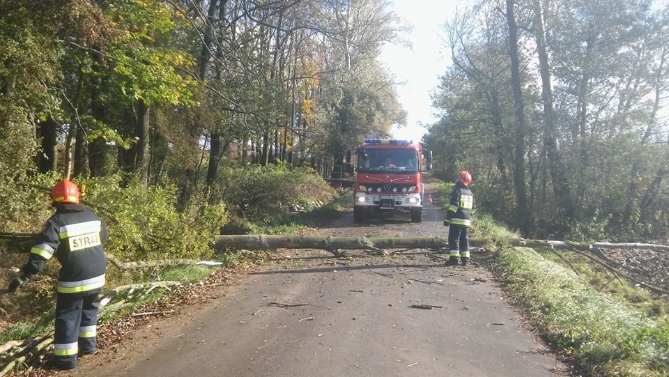 Uszkodzone dachy i powalone drzewa, to skutki 10 minutowej nawałnicy w Proszowicach