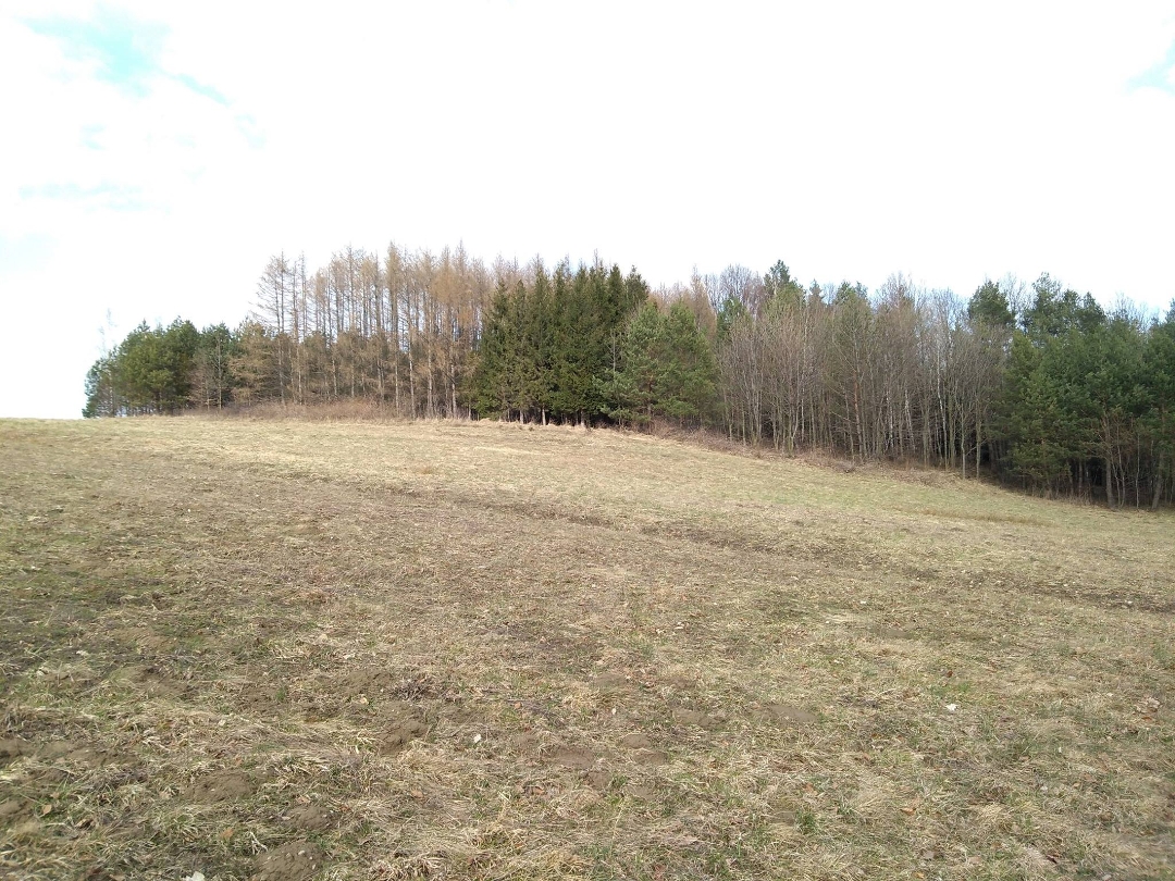 Archeolodzy rozpoczynają kolejne wykopaliska w powiecie gorlickim. Gdzie tym razem?