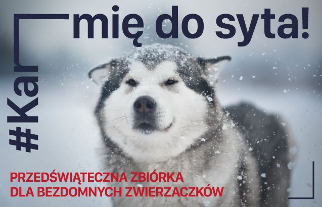 Przedświąteczna akcja #KarmieDoSyta dla bezdomnych zwierząt