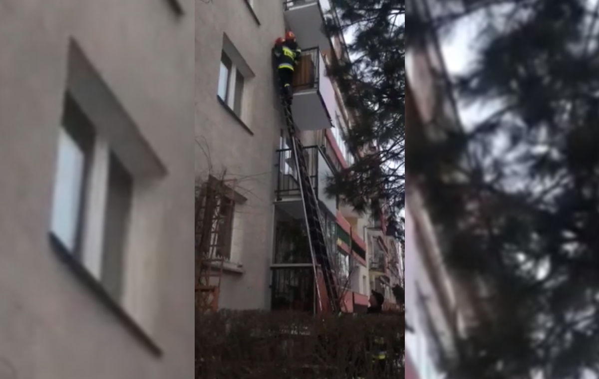 Kraków: uratowali zmarzniętego szczeniaka. Na zamkniętym balkonie spędził kilka godzin [NAGRANIE]