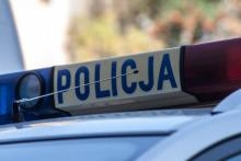 Gdów: Zabił kota i wyrzucił go przez okno. 21-latek usłyszał zarzuty
