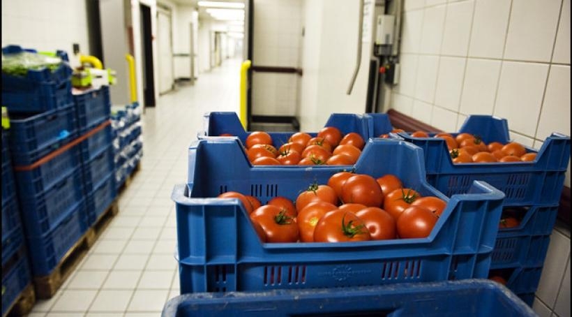 Komisja rolnictwa PE: silniejsza rola regionów w zarządzaniu WPR