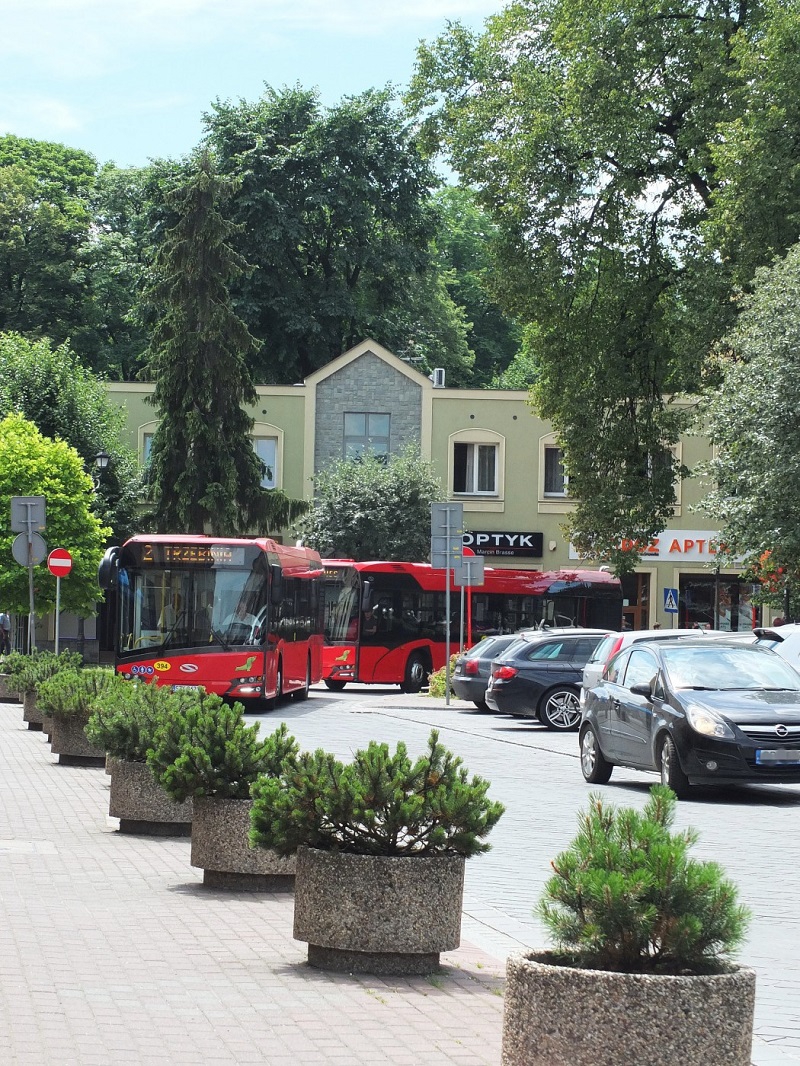 Bezpłatne przejazdy dla osób 70+ w Żywcu